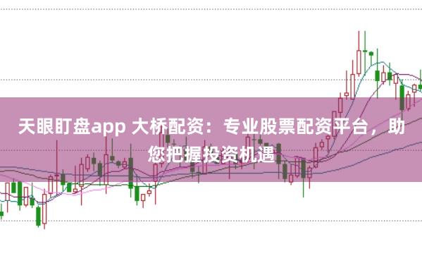 天眼盯盘app 大桥配资：专业股票配资平台，助您把握投资机遇