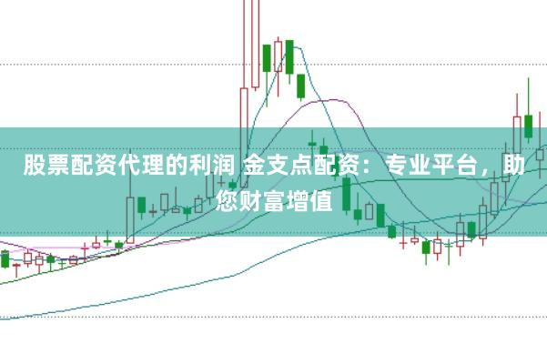 股票配资代理的利润 金支点配资：专业平台，助您财富增值