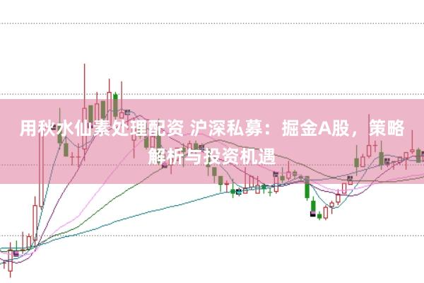 用秋水仙素处理配资 沪深私募：掘金A股，策略解析与投资机遇