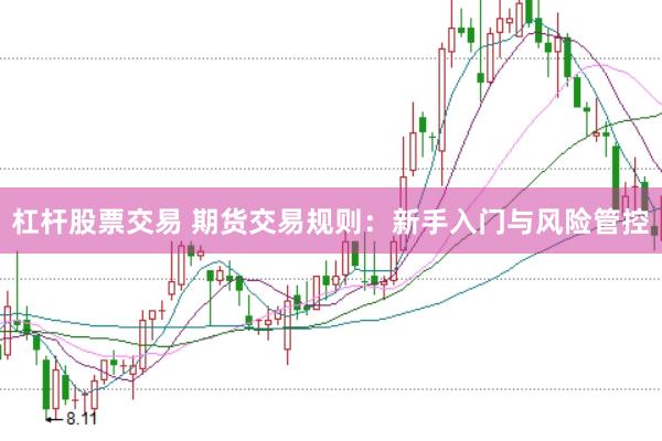 杠杆股票交易 期货交易规则：新手入门与风险管控