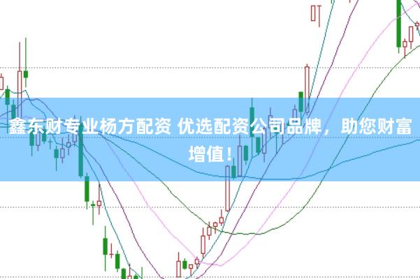 鑫东财专业杨方配资 优选配资公司品牌，助您财富增值！