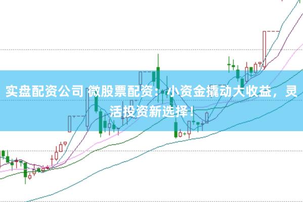 实盘配资公司 微股票配资：小资金撬动大收益，灵活投资新选择！