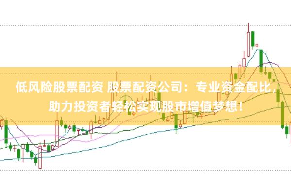 低风险股票配资 股票配资公司：专业资金配比，助力投资者轻松实现股市增值梦想！